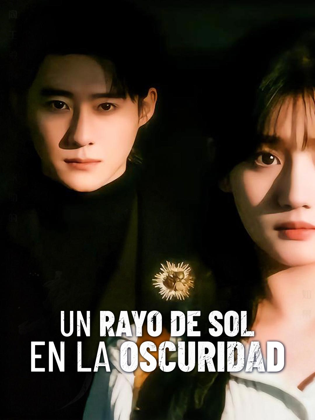 es-un-rayo-de-sol-en-la-oscuridad-698950117ffc6b3dbd0e7dbc