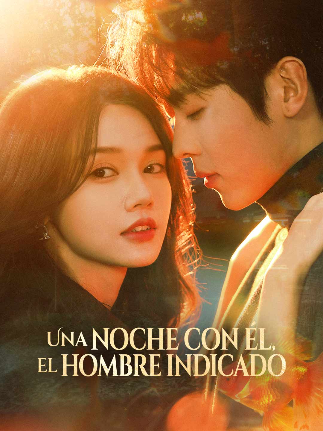 es-una-noche-con-el-el-hombre-indicado-698aa5c81c368405d40519ee