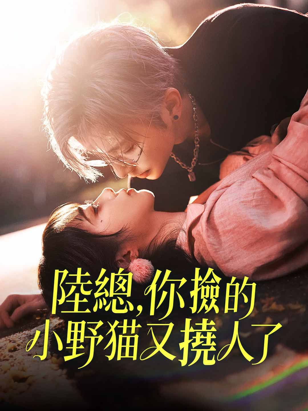 zh-tw-short-drama-69537ebb68989593f20bdd02