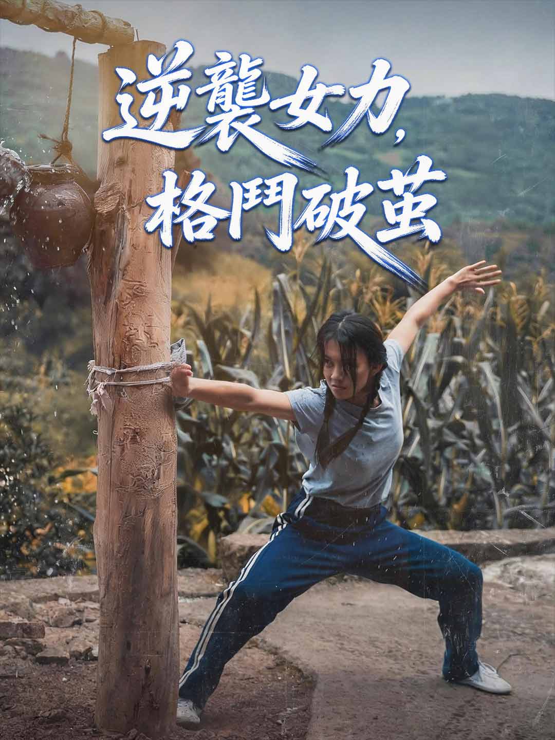 zh-tw-short-drama-69a69c2c091008d278055a06